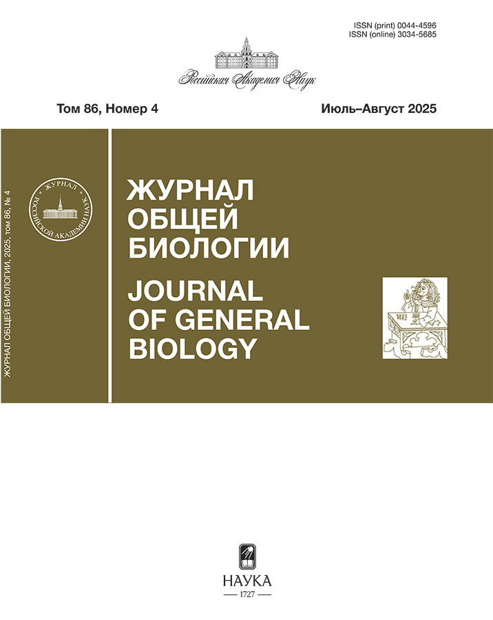 Бет Тақырыбының Логотипі
