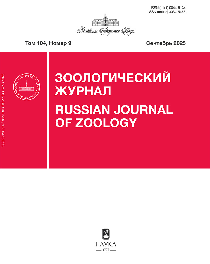 Бет Тақырыбының Логотипі