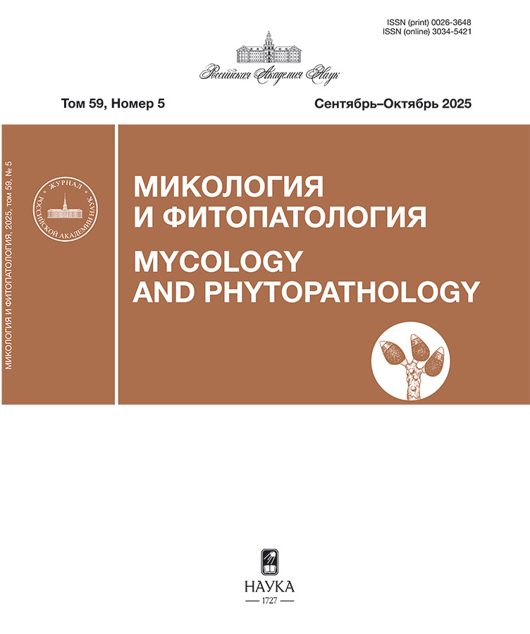 Бет Тақырыбының Логотипі